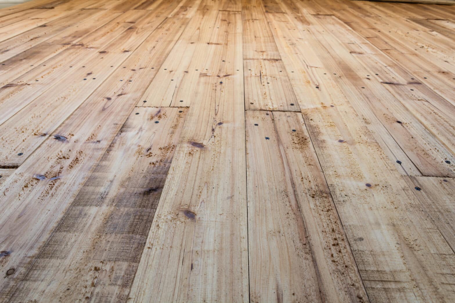 Parquet qui grince Tous ce qu’il faut savoir (Article 2023)