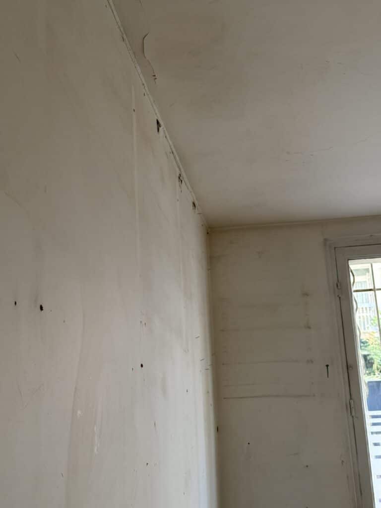 etat-murs-plafond-vetuste-et-fissure