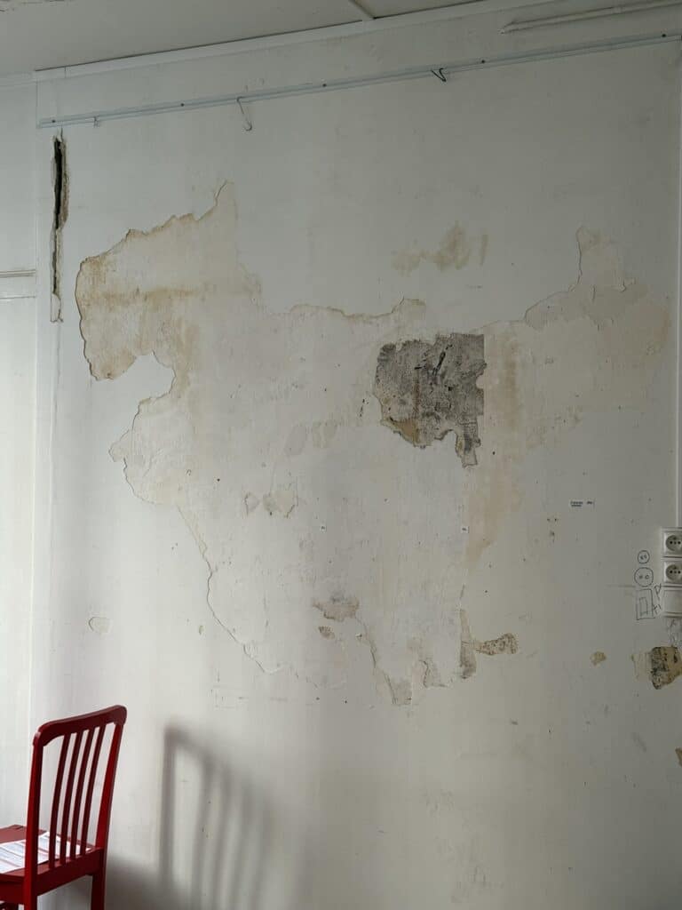 infiltration-eau-mur-abime-renovation