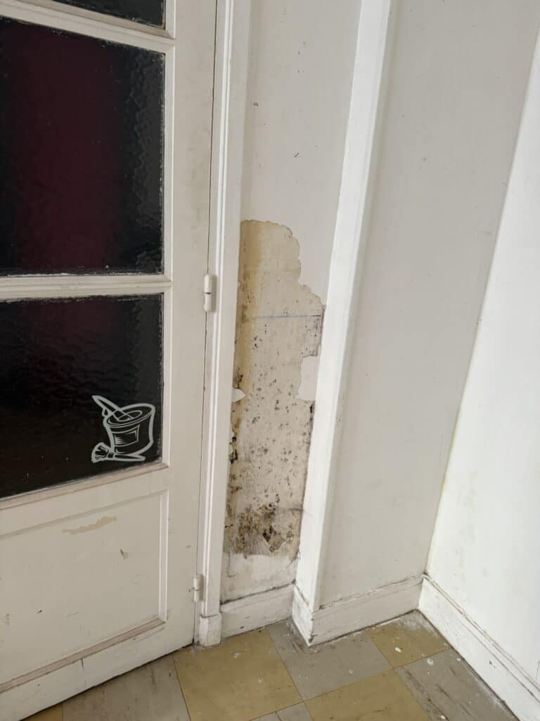 menuiserie-bois-mur-humide-renovation