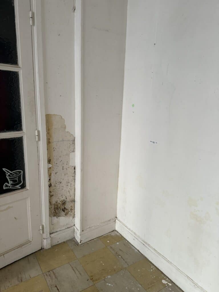 moisissure-mur-humide-renovation